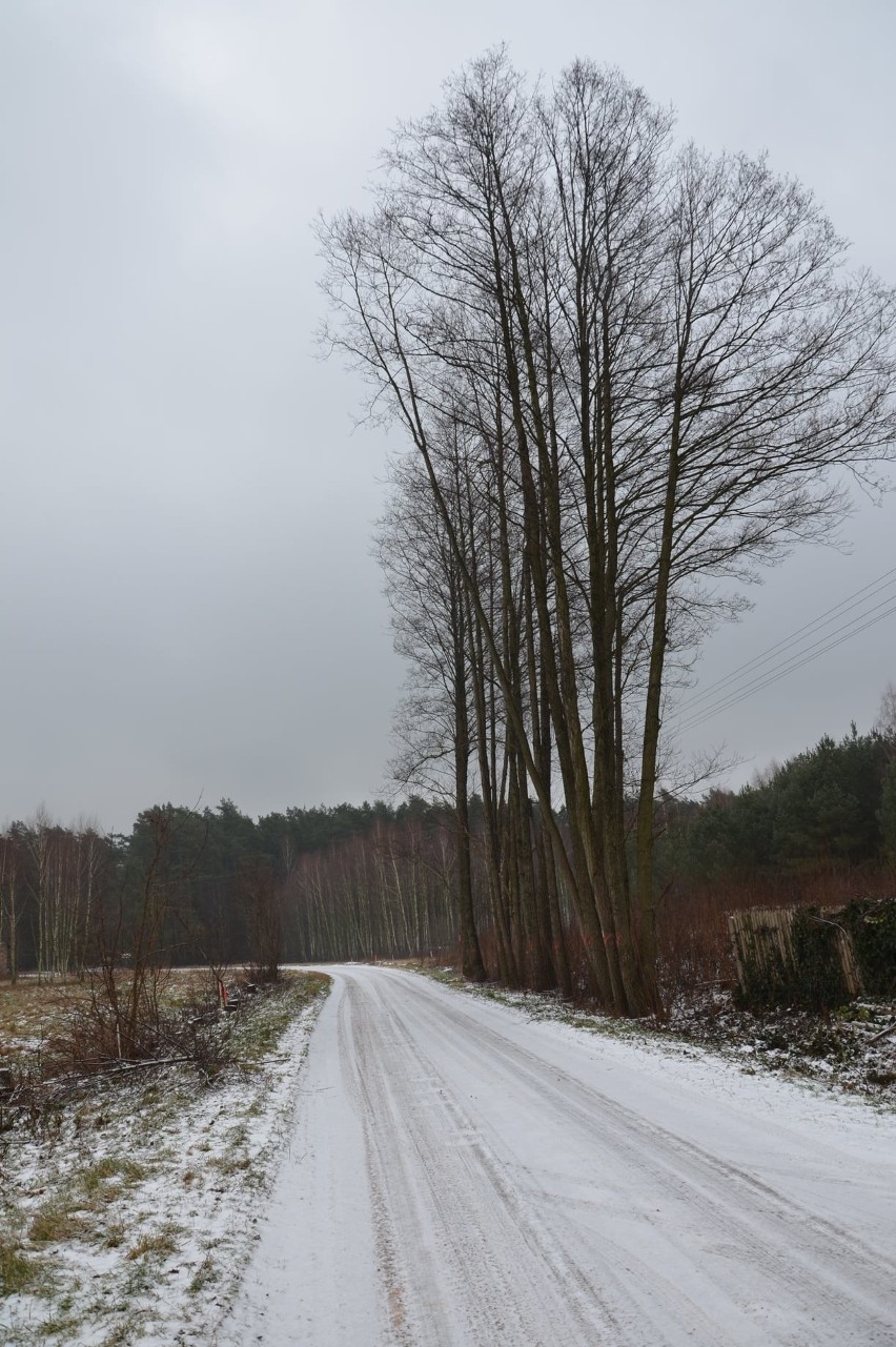 Rozbudowa drogi powiatowej nr 2639W na odcinku Fidury – Koziki. Ruszyły prace. 21.01.2022. Zdjęcia