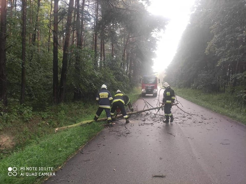 Region. Skutki nawałnicy. Strażacy wyjeżdżali głównie do powalonych drzew. 9.07.2021. Zdjęcia