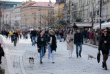 Czeka nas rewolucja w Kodeksie pracy. Od kiedy w Polsce zacznie obowiązywać czterodniowy tydzień pracy? To złe rozwiązanie? Wyjaśniamy