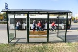 Białe Błota zaczynają dezynfekować przystanki autobusowe - akcja strażaków, mieszkańców i gminy