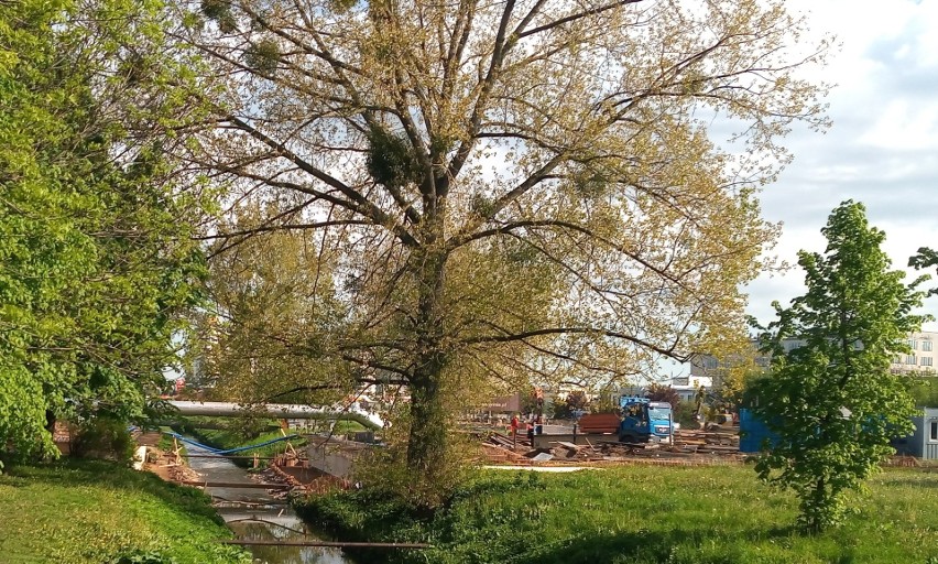 Remont Alei Tysiąclecia Państwa Polskiego ma zakończyć się w...