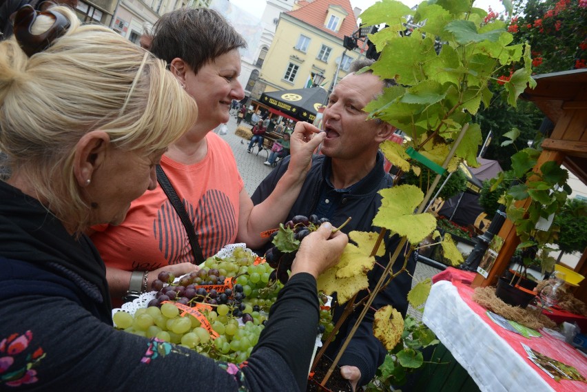 Organizatorzy Winobrania 2020 przygotowali dla uczestników...