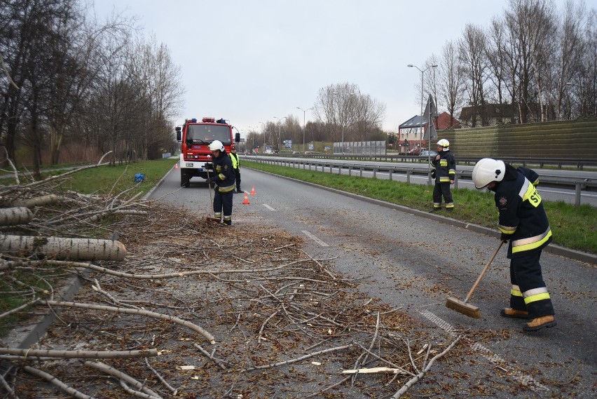 Powalone drzewo usunęli strażacy