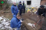 Pogotowie dla Zwierząt rozwiązane? Przyszłość stowarzyszenia jest wciąż nieznana. Sąd zawiesił zarząd