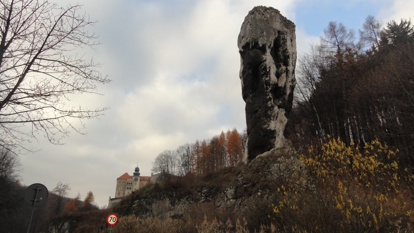 Piszą list, żeby Jurę Krakowsko-Częstochowską umieścić na liście Światowego Dziedzictwa UNESCO