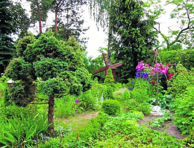 - Mój ogród został zaprojektowany w stylu angielskim, a jego...