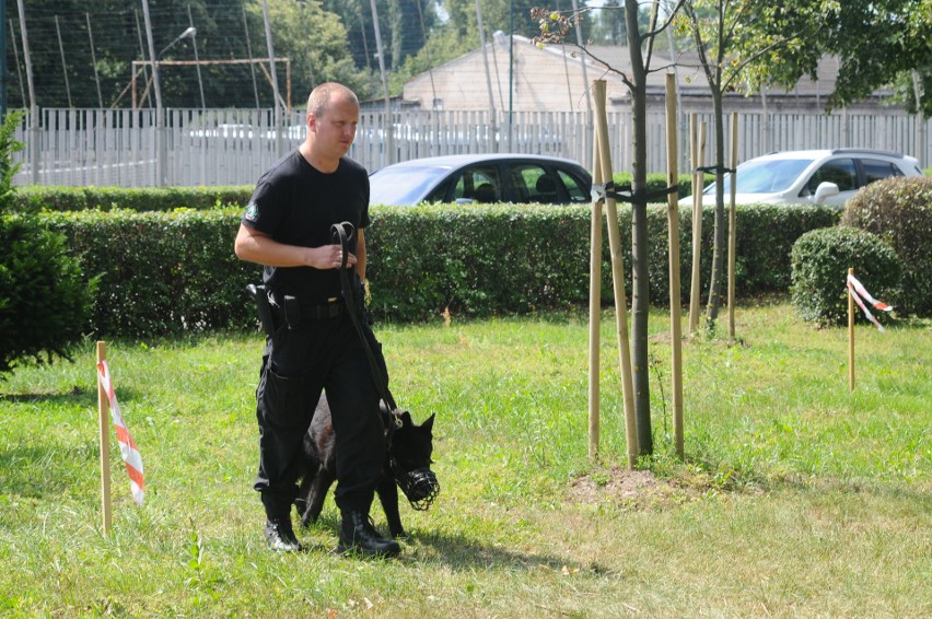 Psy patrolowe rywalizowały w zawodach w Krakowie