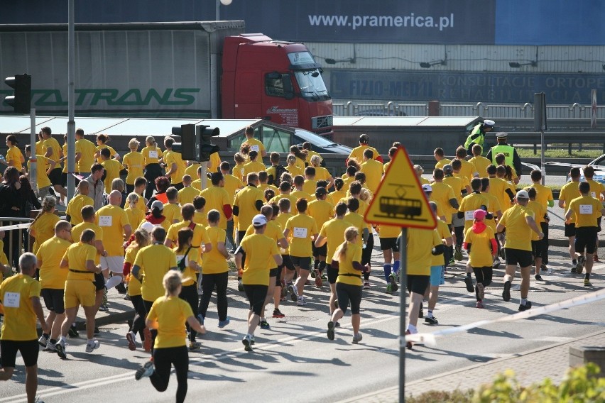 Mini Silesia Marathon