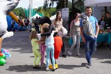 Trwa festyn rodzinny dla Zuzi na stadionie Golęcińskim. Organizatorzy przygotowali szereg atrakcji, by pomóc chorej na SMA [ZDJĘCIA]