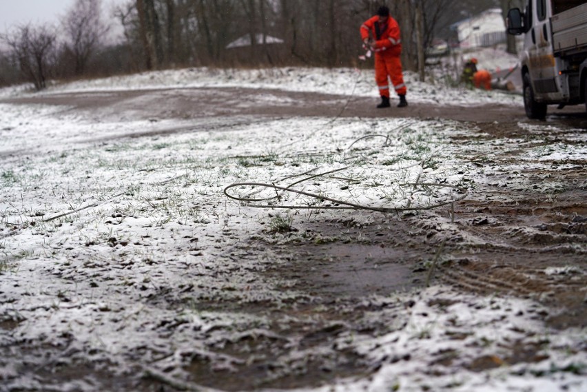 Powalone drzewo i zerwana linia energetyczna w Bobięcinie...