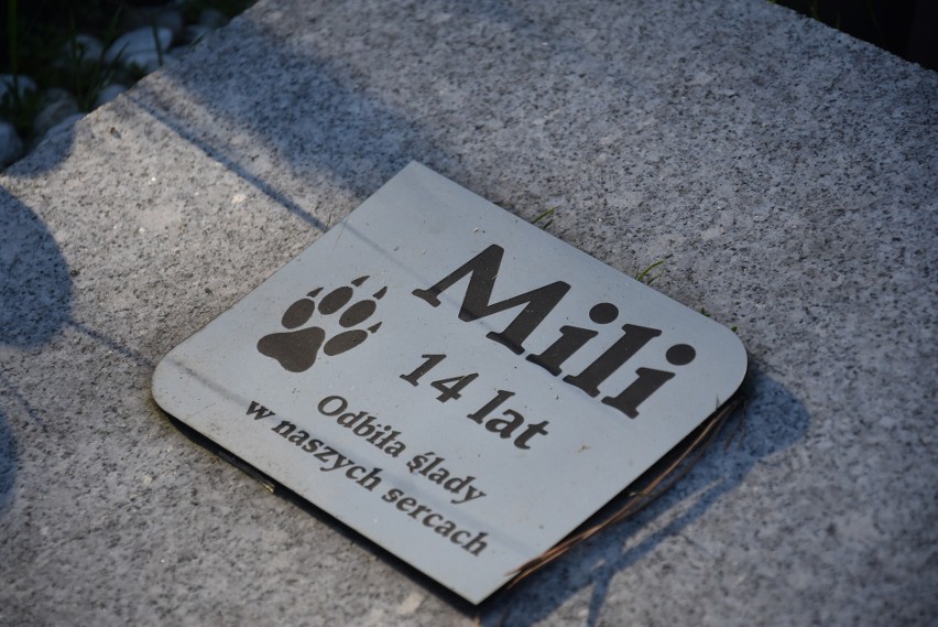 Cmentarz dla zwierząt w Rybniku mieści się przy ulicy...