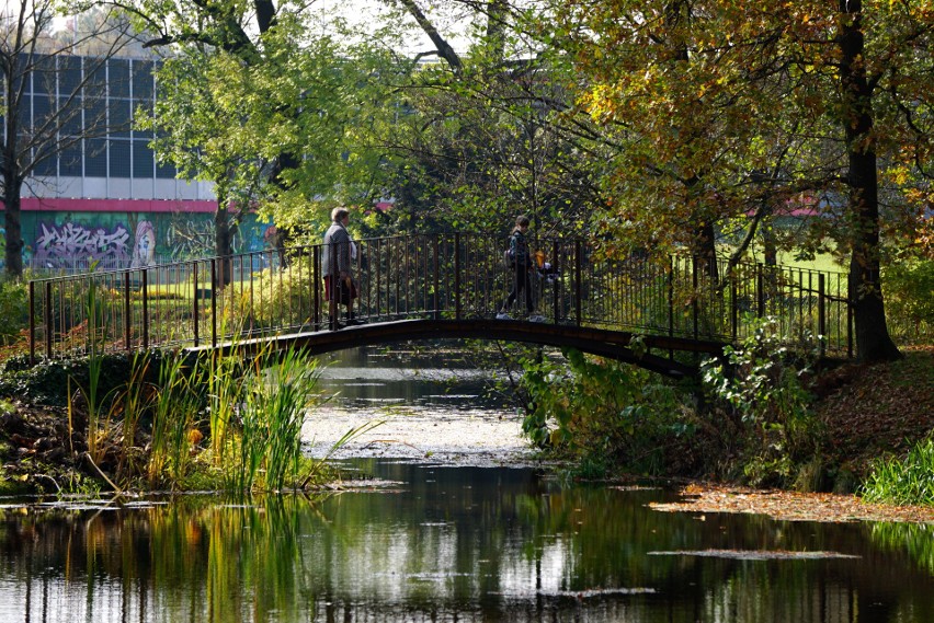 Ogród Botaniczny UMCS w pięknej jesiennej scenerii. Zobacz jak piękna jest jesień w Lublinie [ZDJĘCIA]