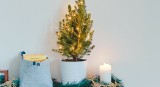 Jak ustawić choinkę w małym mieszkaniu? Sprawdzone triki na aranżację świątecznego drzewka. Zdjęcia pięknych choinek do małego metrażu