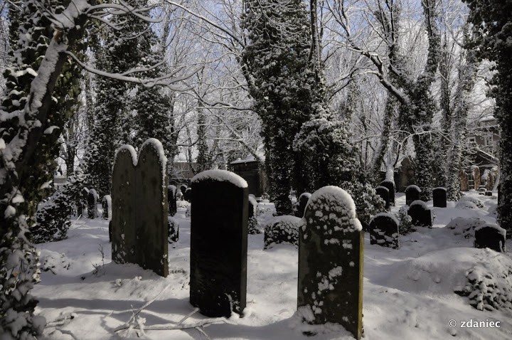 Gliwicki stary cmentarz żydowski przy ul. Na Piasku [ZDJĘCIA]