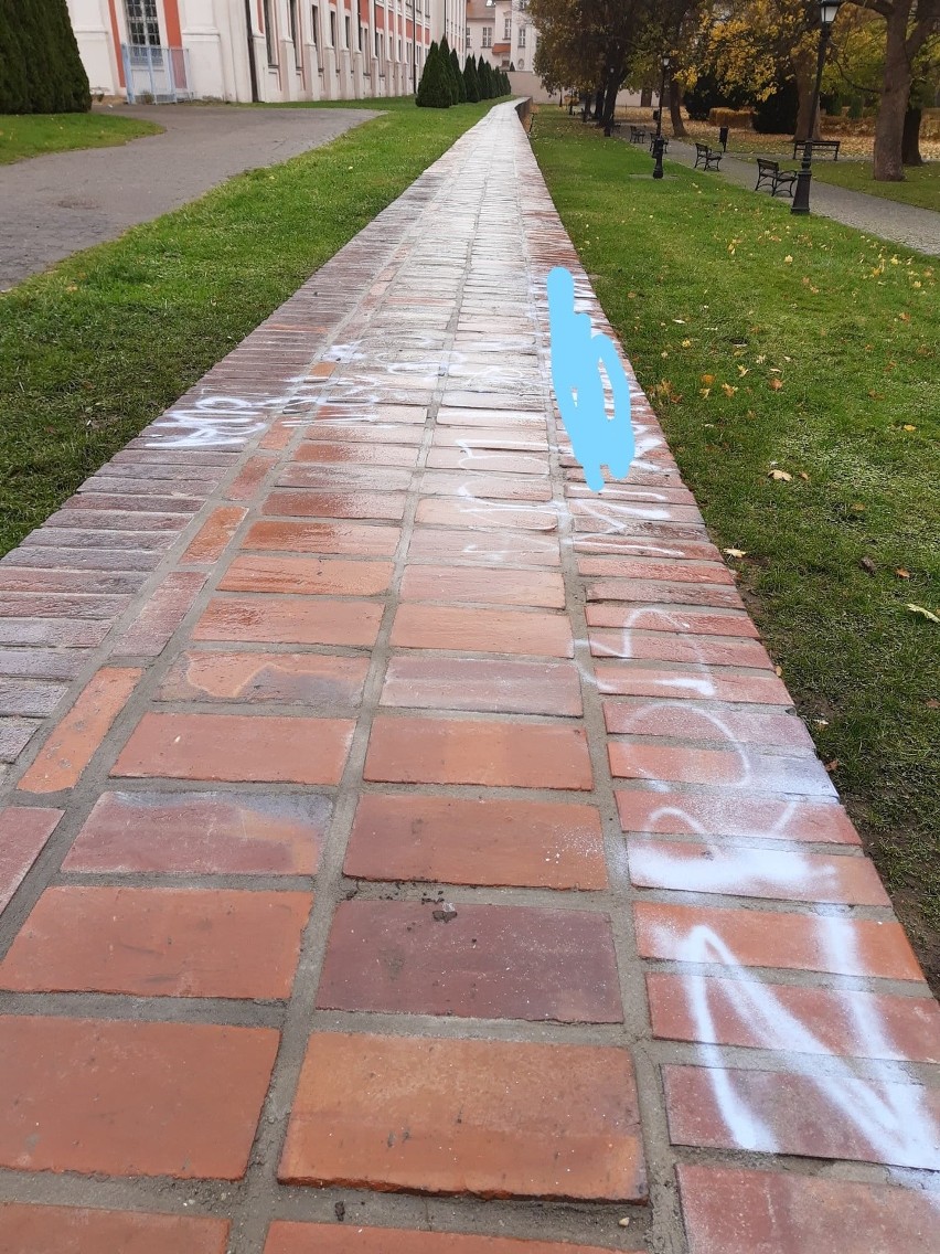 Kilka dni po odnowieniu, wandale pomalowali mur w parku...