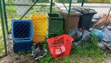 Gdańsk. Kolejne zwierzęta porzucone przez właściciela... na śmietniku. Interweniowała straż miejska