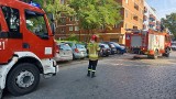 Pożar w bloku przy Bolesławieckiej we Wrocławiu [ZDJĘCIA]