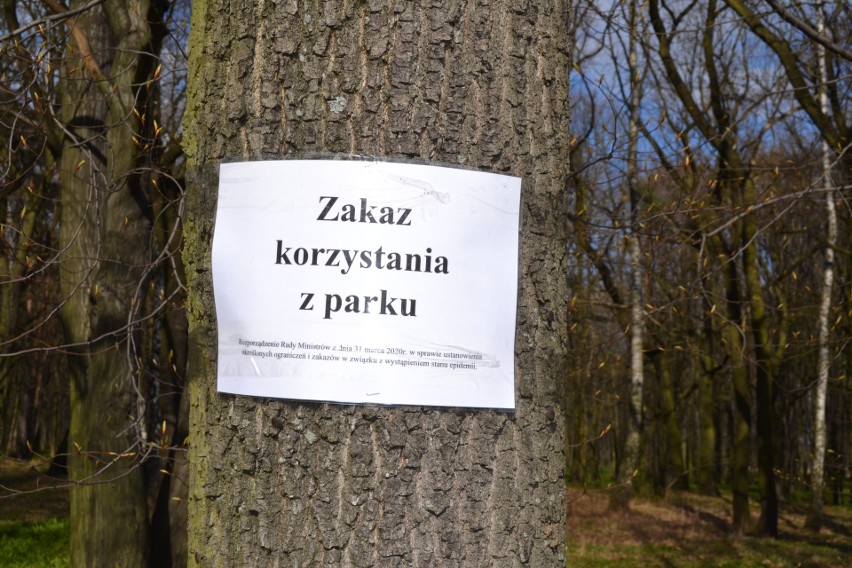 Park Zielona opustoszał w weekend. Mieszkańcy Dąbrowy...