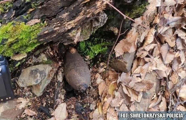 Oto co mężczyzna znalazł podczas spaceru w lesie w Witosławicach