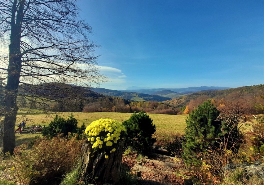 Beskid Sądecki. Jesienna wycieczka do Bacówki nad Wierchomlą. Zobaczcie magiczne zdjęcia 