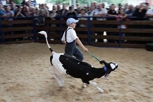 Rozbrykana młodzież, czyli konkurs "Młodzi hodowcy"