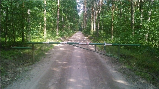 Tradycyjna droga na Królewskie Źródła będzie przez jakiś czas zamknięta, a leśnicy wyznaczą objazd.