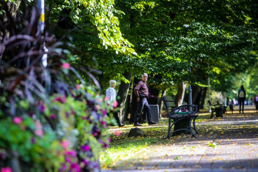 Park im. Tadeusza Kościuszki to największy teren parkowy w...