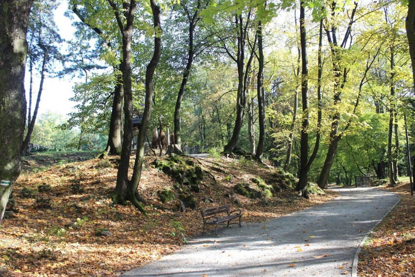 Park Kachla w Bytomiu zachwyca jesienną porą. W taką pogodę...