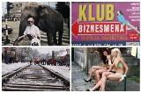 Dziwne i oryginalne zdjęcia z Białegostoku i okolic sprzed lat. Tory w centrum, słoń na Lipowej i inne niesamowite historie