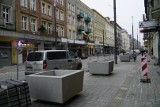 Kolejne dęby szypułkowe i kwiaty pojawią się w centrum Poznania