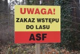 Zakaz wstępu do lasu na terenie powiatu polickiego