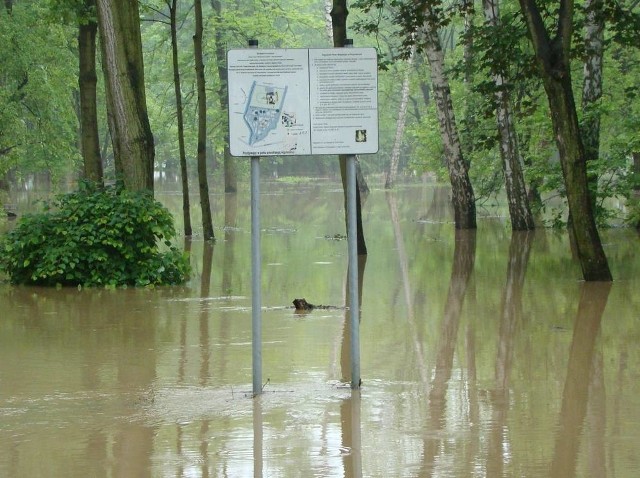 Park w Proszowicach po wylewie Szreniawy w 2013 r