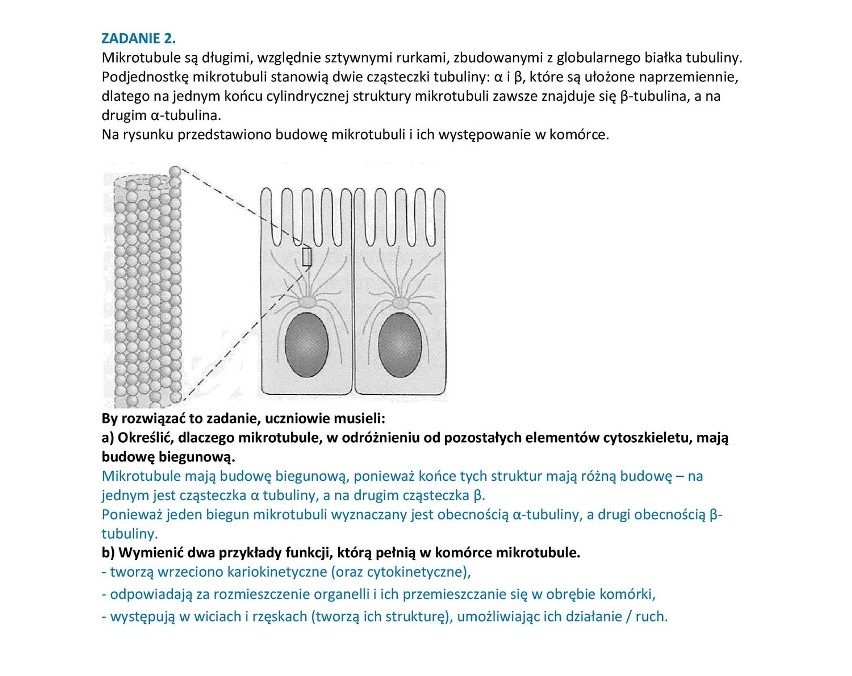 Matura 2014: Próbna z biologii napisana [ARKUSZE, ODPOWIEDZI]