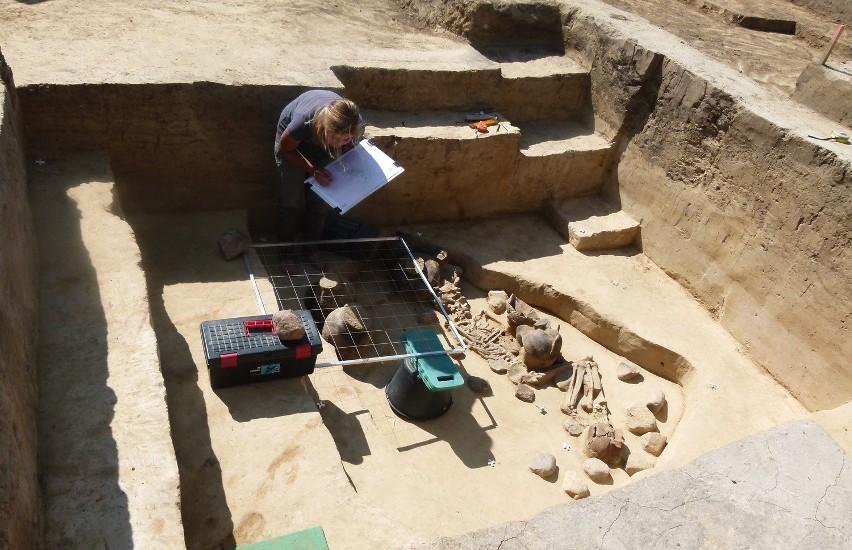 Wielkie odkrycie archeologów w Książnicach. Kobiecy grób niszowy sprzed około 5 tysięcy lat