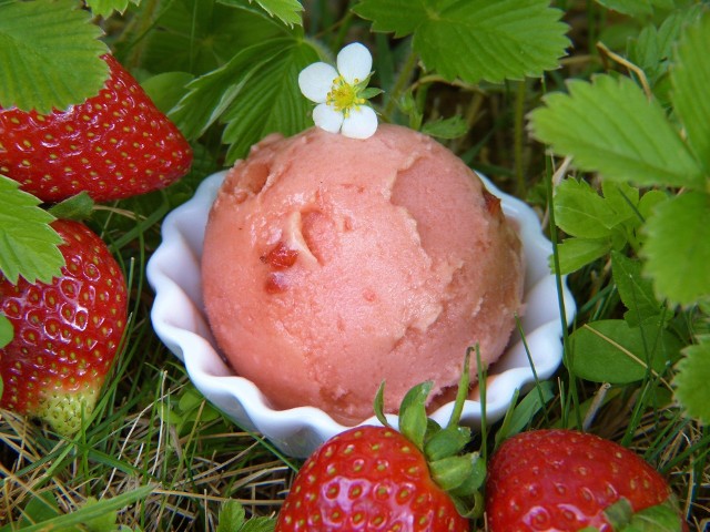 Lody truskawkoweDomowe lody truskawkowe to znakomity i orzeźwiający deser, a ich smak bije na głowę lody produkowane przemysłowo.