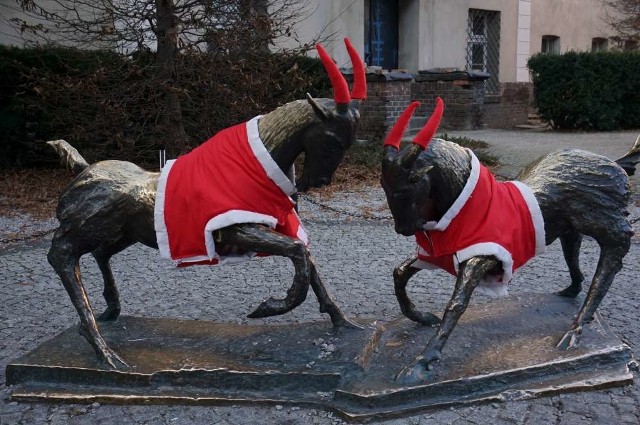 Poznańskie koziołki gotowe na święta!