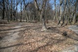 Białystok. Miasto zrezygnuje z rewitalizacji Parku Lubomirskich w Dojlidach