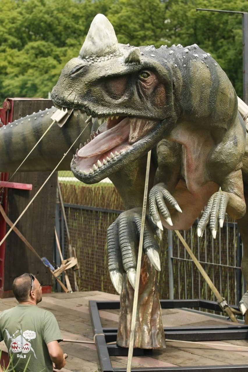Wrocław: Obok zoo powstał park dinozaurów (ZDJĘCIA)