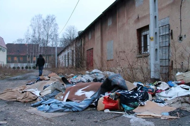 Tak wygląda okolica tuż obok ul. Marka Prawego. W pobliżu znajduje się targowisko i siedziba KRUS-u, więc stertę śmieci oglądają codziennie dziesiątki osób.