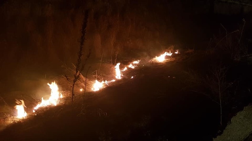 Wypalanie traw. W Ostrołęce i powiecie od 1 marca strażacy gasili takie pożary dziesięć razy!