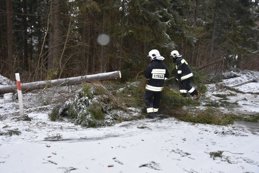 Tatry. Dojazd do Morskiego Oka zawalony połamanymi drzewami [ZDJĘCIA]