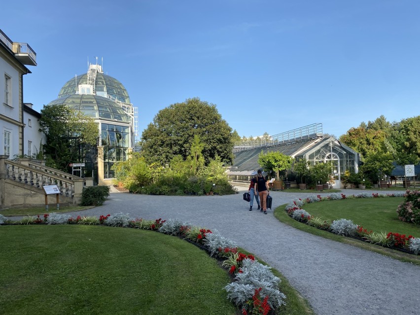 Krakowski ogród botaniczny zachwyca swoim pięknem! [ZDJĘCIA]