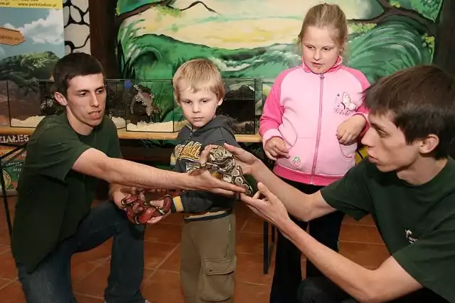 Weronika i Kubuś Gola odważyli się wziąć na ręce węża mlecznego i młodego pytona królewskiego. 