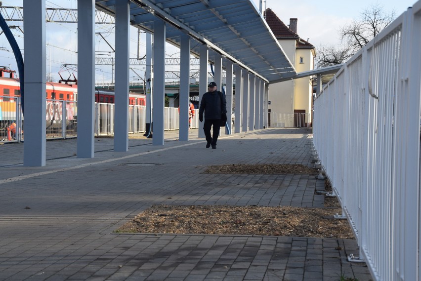 Przy przejściu na peron pierwszy rosły dwie lipy (są...