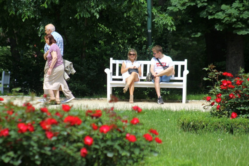 Ogród Saski w Lublinie. Wróciło słońce, lublinianie odpoczywają wśród drzew. Zobacz zdjęcia