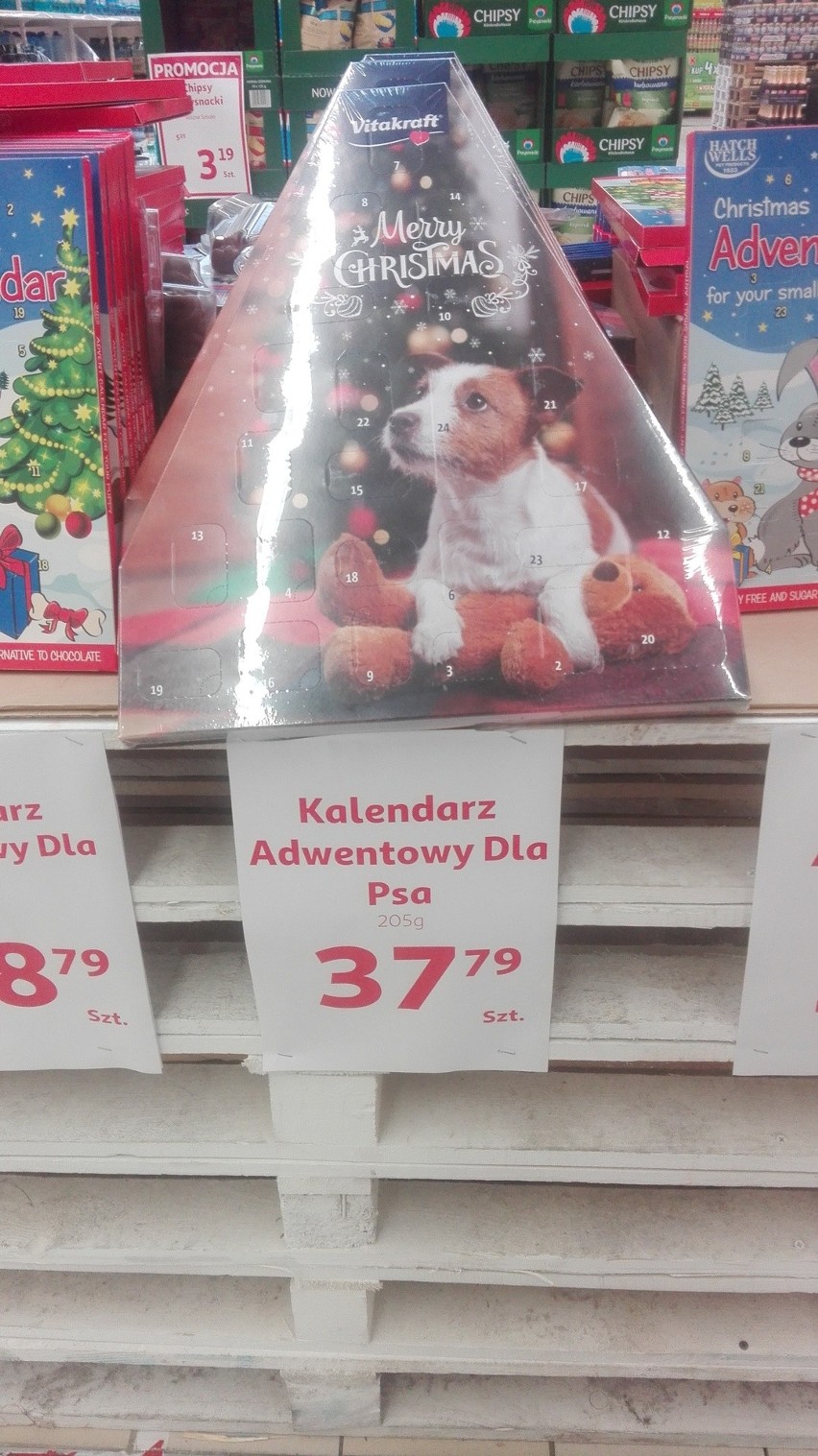 Auchan: Kalendarze adwentowe dla psa i kota | Dziennik Bałtycki