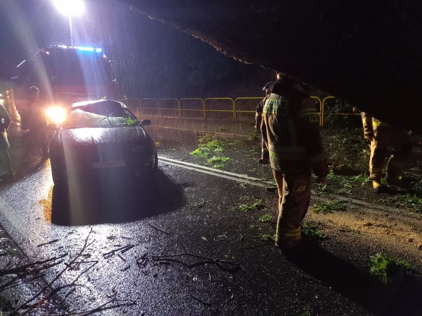 Drzewo upadło na samochód jadący krajówką w gminie Ożarów