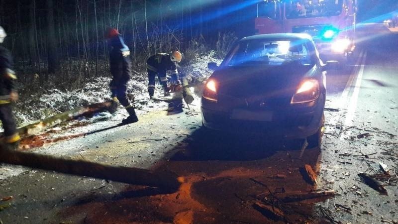 W Nawojowej na główną drogę spadło drzewo. Kierowca osobówki...