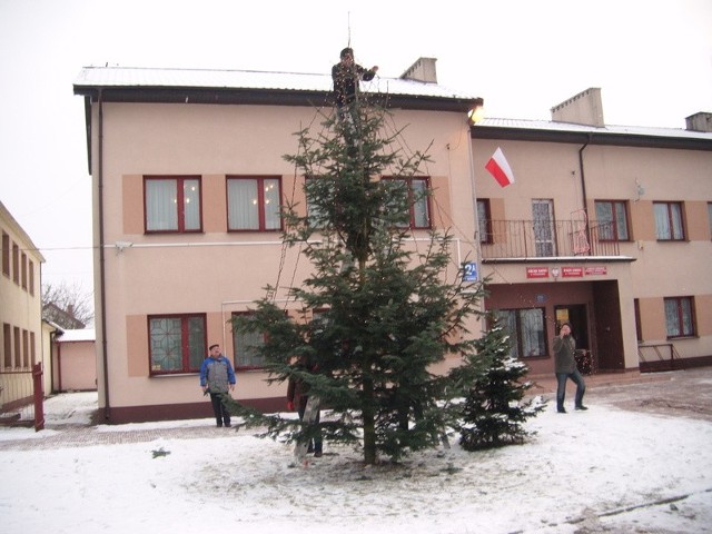 Już choinka stanęła przy Urzędzie Gminy w Potworowie i przypomina o nadchodzących świętach.