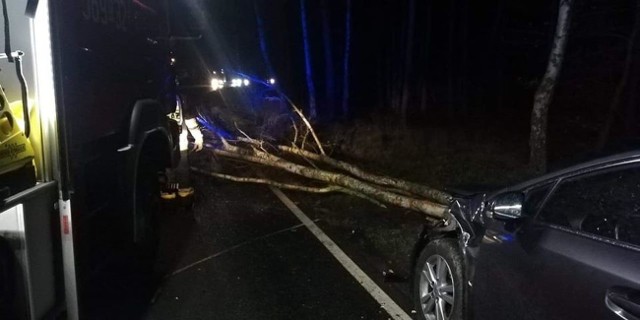 W nocy przez nasz region przeszedł orkan Sabina. Pod Łabiszynem samochód uderzył w drzewo, które powaliła potężna wichura.Do zdarzenia doszło dziś (10 lutego) po godzinie 5 rano. Strażacy z OSP Łabiszyn zostali wezwani do usunięcia drzewa, które leżało na drodze wojewódzkiej nr 253. - Na miejscu okazało się, że w leżące drzewo uderzył przejeżdżający samochód. Na szczęście kierowca nie odniósł żadnych obrażeń - relacjonują druhowie z OSP Łabiszyn. Strażacy usunęli drzewo z drogi, a auto zepchnęli w bezpieczne miejsce.